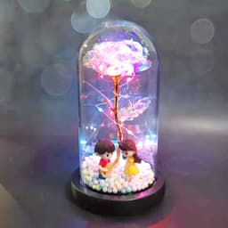 image-Beauty Eternal Flower Rose in Flask Wedding Decoration Artificial Flowers Glass Cover for Valentine'S Day Gift Home Decor