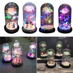 image-Beauty Eternal Flower Rose in Flask Wedding Decoration Artificial Flowers Glass Cover for Valentine'S Day Gift Home Decor