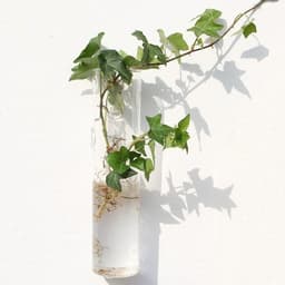 image-Fashion Wall Hanging Glass Flower Vase Terrarium Wall Fish Tank Aquarium Container Flower Planter Pots Home Garden Decoration