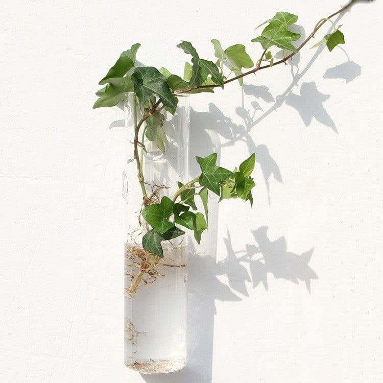 image-Fashion Wall Hanging Glass Flower Vase Terrarium Wall Fish Tank Aquarium Container Flower Planter Pots Home Garden Decoration