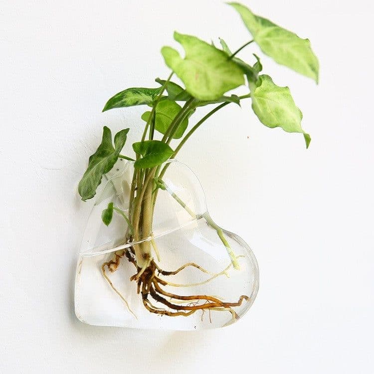 image-Fashion Wall Hanging Glass Flower Vase Terrarium Wall Fish Tank Aquarium Container Flower Planter Pots Home Garden Decoration