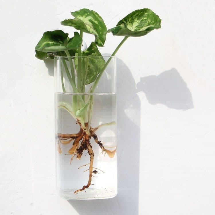 image-Fashion Wall Hanging Glass Flower Vase Terrarium Wall Fish Tank Aquarium Container Flower Planter Pots Home Garden Decoration