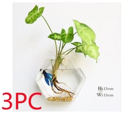 image-Fashion Wall Hanging Glass Flower Vase Terrarium Wall Fish Tank Aquarium Container Flower Planter Pots Home Garden Decoration