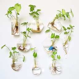 image-Fashion Wall Hanging Glass Flower Vase Terrarium Wall Fish Tank Aquarium Container Flower Planter Pots Home Garden Decoration