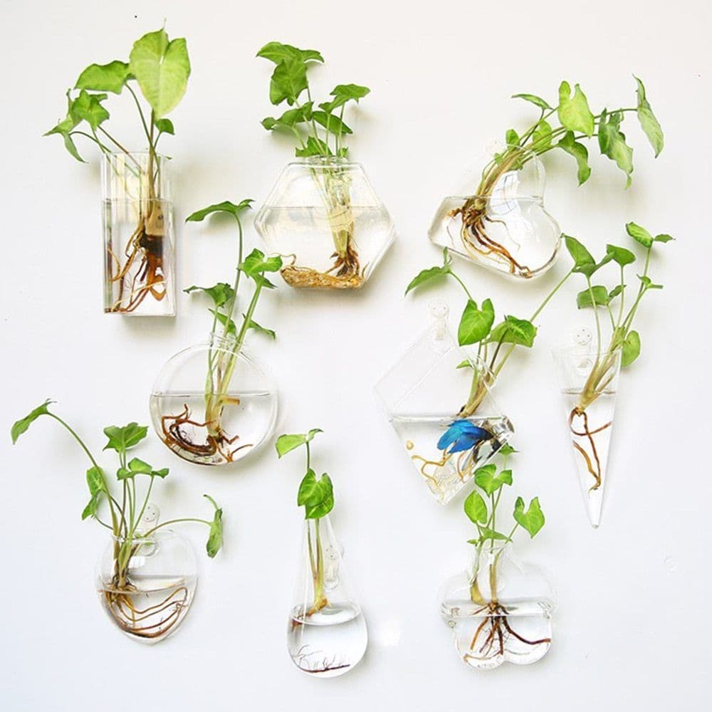 image-Fashion Wall Hanging Glass Flower Vase Terrarium Wall Fish Tank Aquarium Container Flower Planter Pots Home Garden Decoration