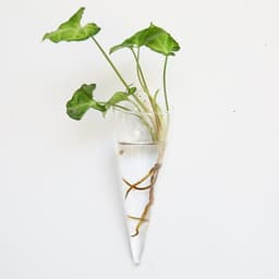 image-Fashion Wall Hanging Glass Flower Vase Terrarium Wall Fish Tank Aquarium Container Flower Planter Pots Home Garden Decoration
