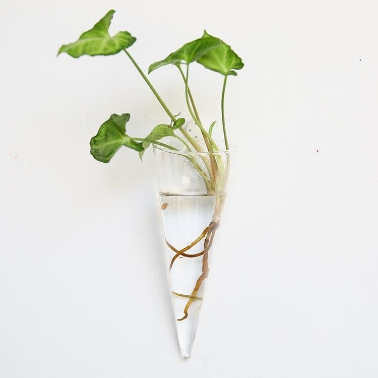 image-Fashion Wall Hanging Glass Flower Vase Terrarium Wall Fish Tank Aquarium Container Flower Planter Pots Home Garden Decoration