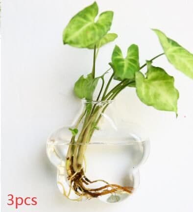 image-Fashion Wall Hanging Glass Flower Vase Terrarium Wall Fish Tank Aquarium Container Flower Planter Pots Home Garden Decoration