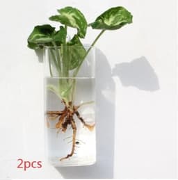image-Fashion Wall Hanging Glass Flower Vase Terrarium Wall Fish Tank Aquarium Container Flower Planter Pots Home Garden Decoration