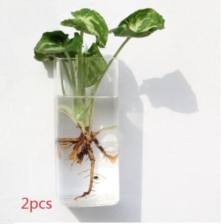 image-Fashion Wall Hanging Glass Flower Vase Terrarium Wall Fish Tank Aquarium Container Flower Planter Pots Home Garden Decoration