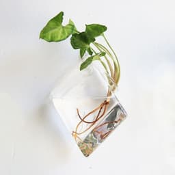 image-Fashion Wall Hanging Glass Flower Vase Terrarium Wall Fish Tank Aquarium Container Flower Planter Pots Home Garden Decoration