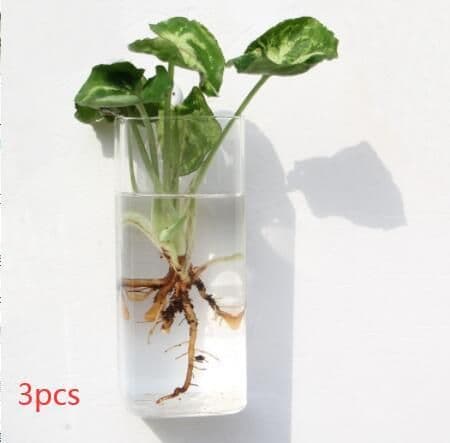 image-Fashion Wall Hanging Glass Flower Vase Terrarium Wall Fish Tank Aquarium Container Flower Planter Pots Home Garden Decoration