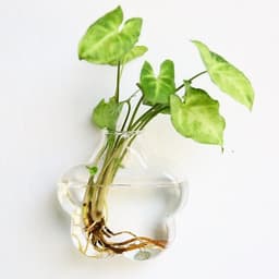 image-Fashion Wall Hanging Glass Flower Vase Terrarium Wall Fish Tank Aquarium Container Flower Planter Pots Home Garden Decoration