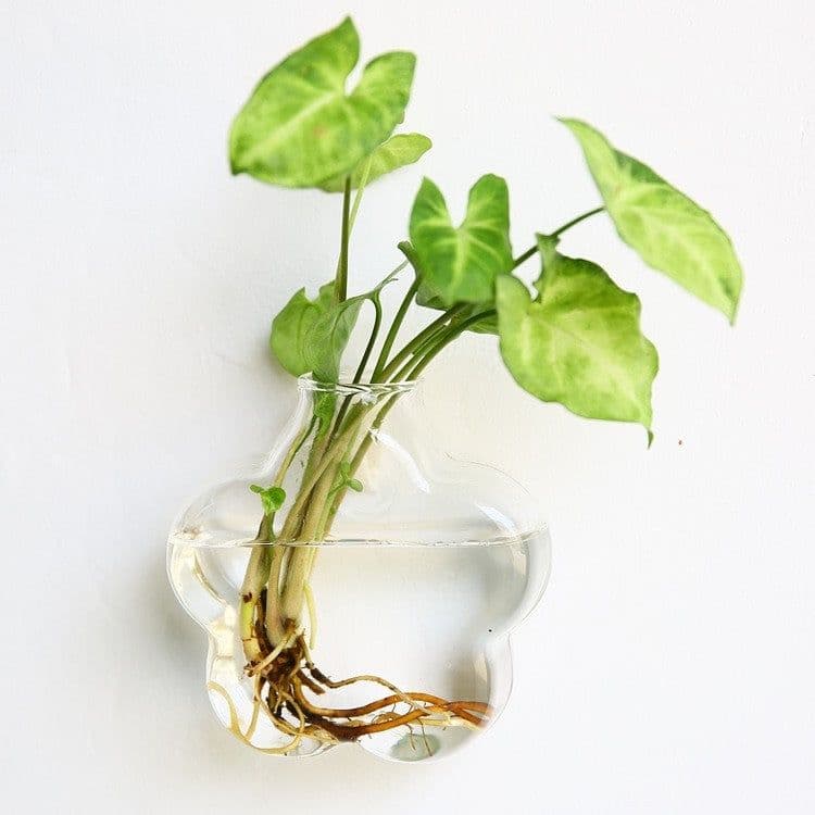 image-Fashion Wall Hanging Glass Flower Vase Terrarium Wall Fish Tank Aquarium Container Flower Planter Pots Home Garden Decoration