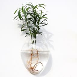 image-Fashion Wall Hanging Glass Flower Vase Terrarium Wall Fish Tank Aquarium Container Flower Planter Pots Home Garden Decoration