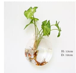 image-Fashion Wall Hanging Glass Flower Vase Terrarium Wall Fish Tank Aquarium Container Flower Planter Pots Home Garden Decoration