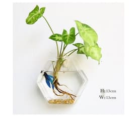 image-Fashion Wall Hanging Glass Flower Vase Terrarium Wall Fish Tank Aquarium Container Flower Planter Pots Home Garden Decoration