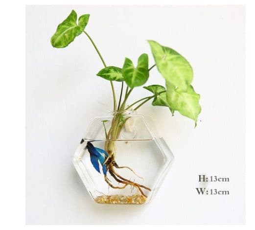 image-Fashion Wall Hanging Glass Flower Vase Terrarium Wall Fish Tank Aquarium Container Flower Planter Pots Home Garden Decoration