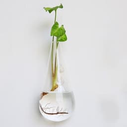 image-Fashion Wall Hanging Glass Flower Vase Terrarium Wall Fish Tank Aquarium Container Flower Planter Pots Home Garden Decoration
