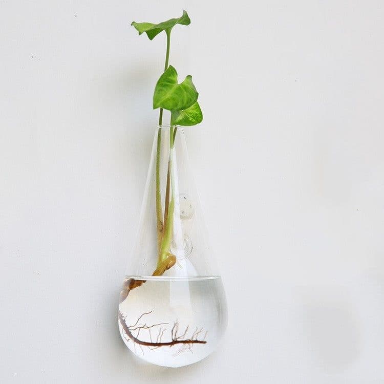 image-Fashion Wall Hanging Glass Flower Vase Terrarium Wall Fish Tank Aquarium Container Flower Planter Pots Home Garden Decoration