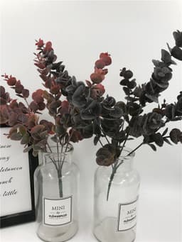 image-Wedding photography props and green plants