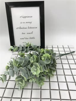 image-Wedding photography props and green plants