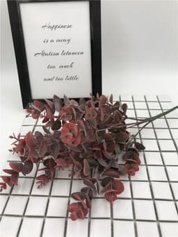 image-Wedding photography props and green plants