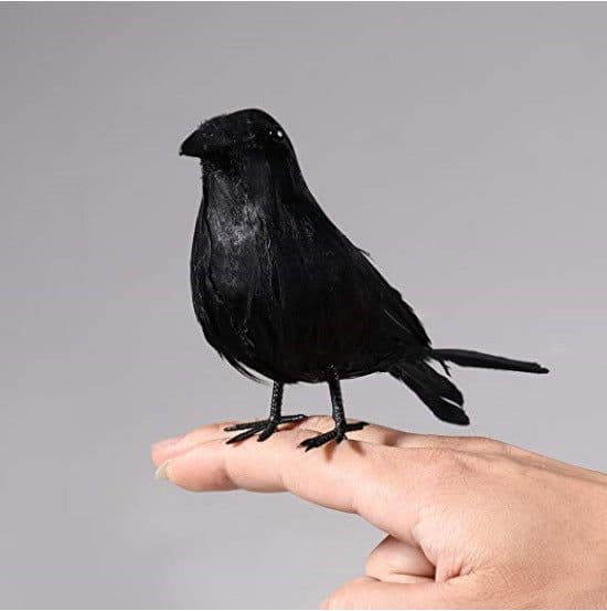 image-Halloween garden gardening decoration