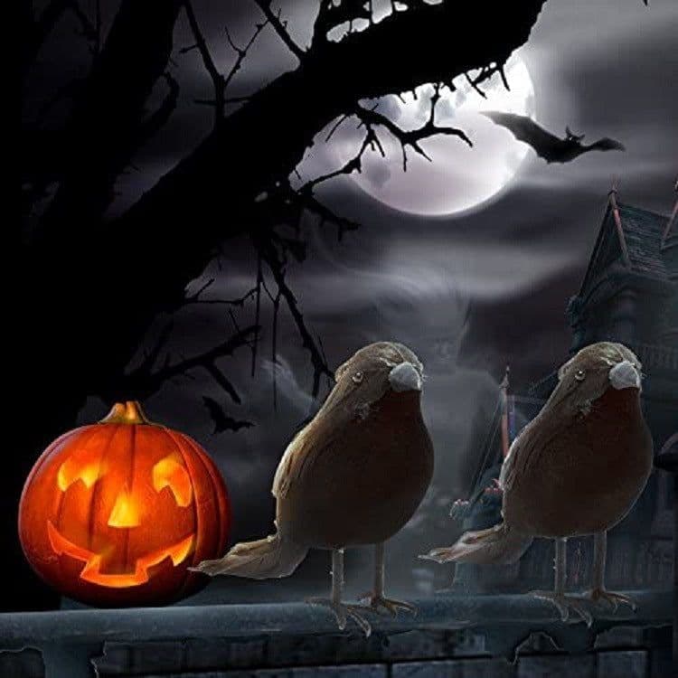 image-Halloween garden gardening decoration