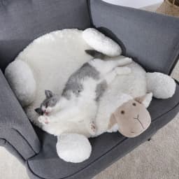 image-Super Cute Sheep Creative Carpet Home Pet Cartoon Entry Pad Sofa Cushion Warm Foot Floor Mat Home Decor