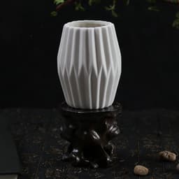 image-Succulent flowerpot furniture indoor potted plants