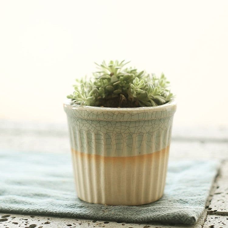image-Succulent flowerpot furniture indoor potted plants
