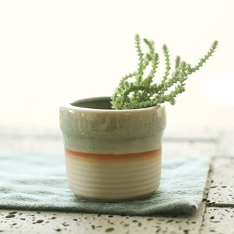 image-Succulent flowerpot furniture indoor potted plants