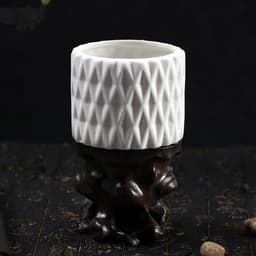 image-Succulent flowerpot furniture indoor potted plants