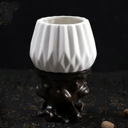 image-Succulent flowerpot furniture indoor potted plants