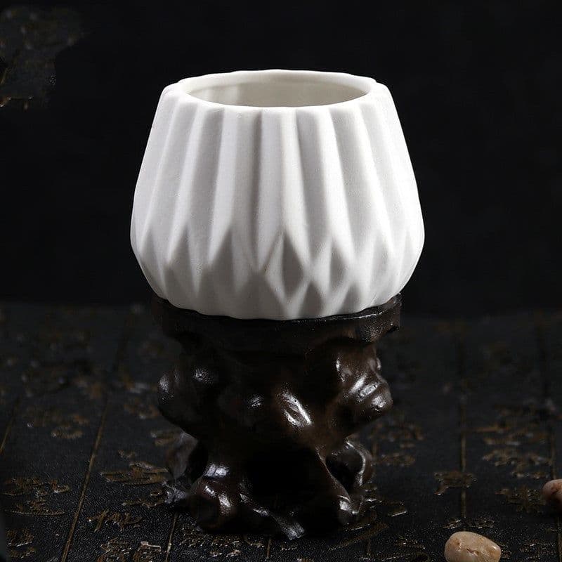 image-Succulent flowerpot furniture indoor potted plants