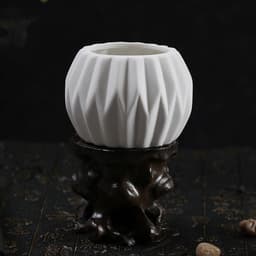 image-Succulent flowerpot furniture indoor potted plants