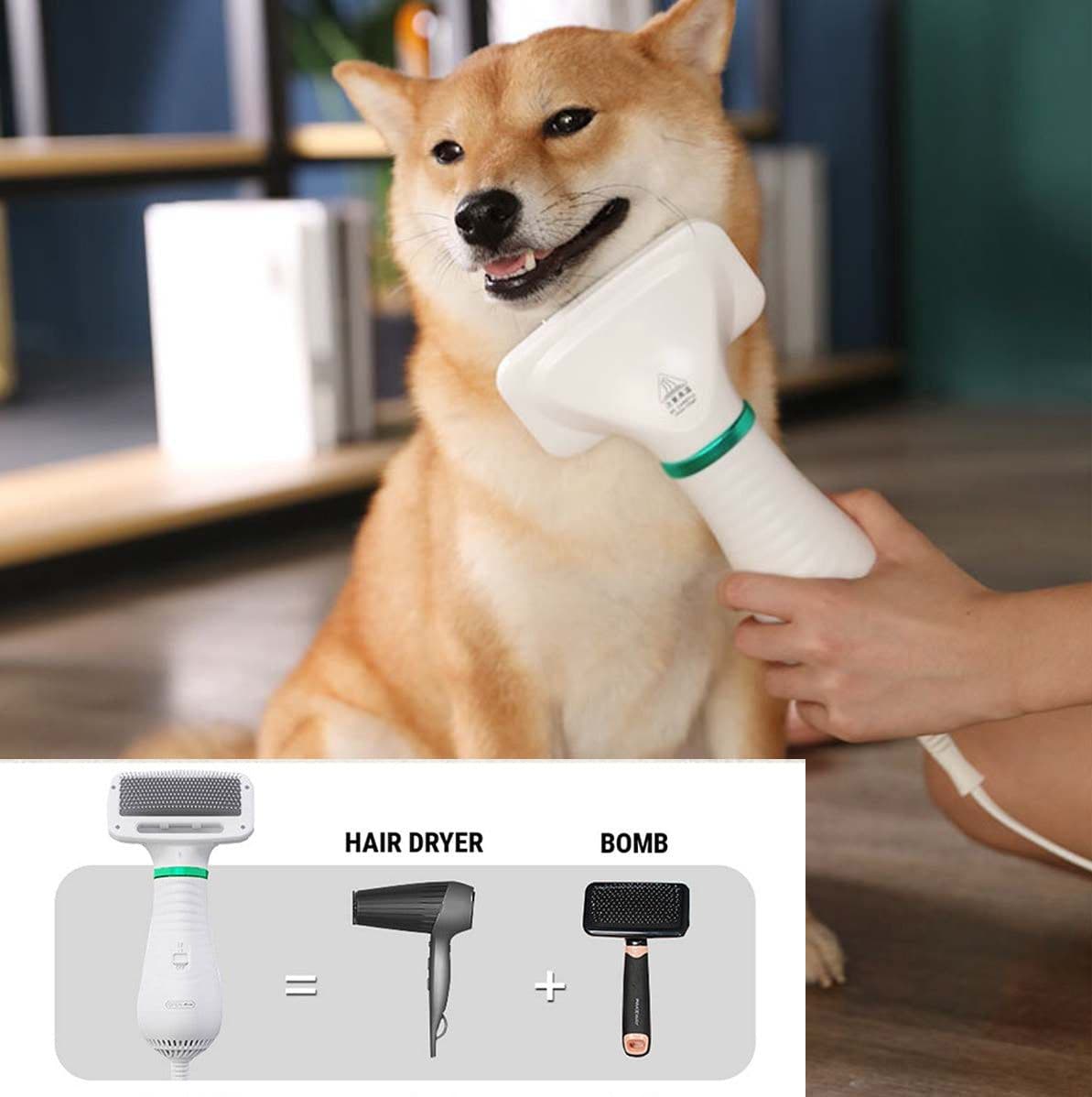 image-2 in 1 Pet Drying Brush Pet Hair Dryer Comb