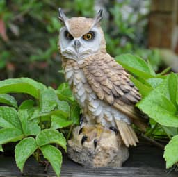 image-Owl Resin Animal Crafts Gardening Accessories