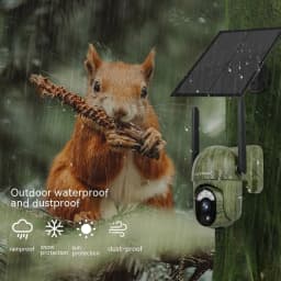 image-Camouflage 4G Solar Camera With Low Power Consumption And High-definition Full Color