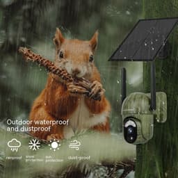 image-Camouflage 4G Solar Camera With Low Power Consumption And High-definition Full Color