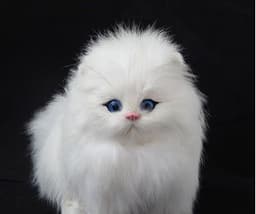 image-Simulation Animal Model Cat Plush Children's Toy Toy Doll