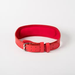image-Fitness Belt Squat Fitness Exercise Waist Support