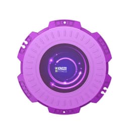 image-Twisting Disc Home Fitness Large Magnetic Therapy