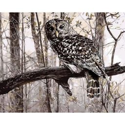 image-Owl Digital Painting Living Room Decoration