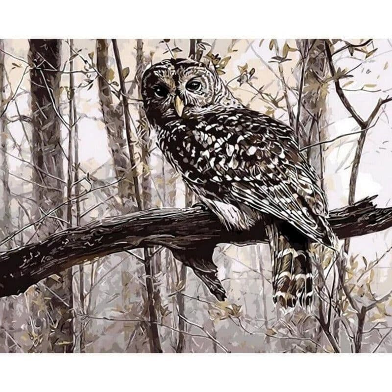 image-Owl Digital Painting Living Room Decoration
