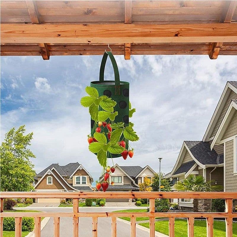 image-Strawberry Grow Bag Nonwoven Fabric Vertical Jardin Garden Hanging Plant Bag Vegetable Potato Planter Bag For Greenhouse