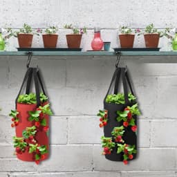 image-Strawberry Grow Bag Nonwoven Fabric Vertical Jardin Garden Hanging Plant Bag Vegetable Potato Planter Bag For Greenhouse