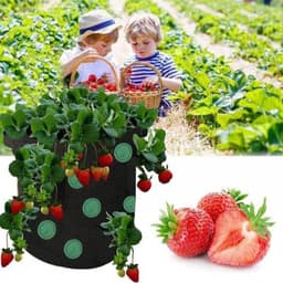 image-Strawberry Grow Bag Nonwoven Fabric Vertical Jardin Garden Hanging Plant Bag Vegetable Potato Planter Bag For Greenhouse