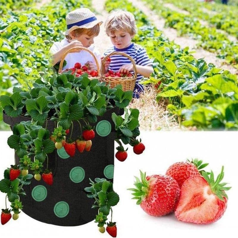 image-Strawberry Grow Bag Nonwoven Fabric Vertical Jardin Garden Hanging Plant Bag Vegetable Potato Planter Bag For Greenhouse